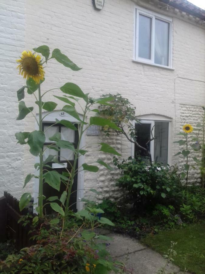 Mauds Cottage 1 West Raynham Екстер'єр фото
